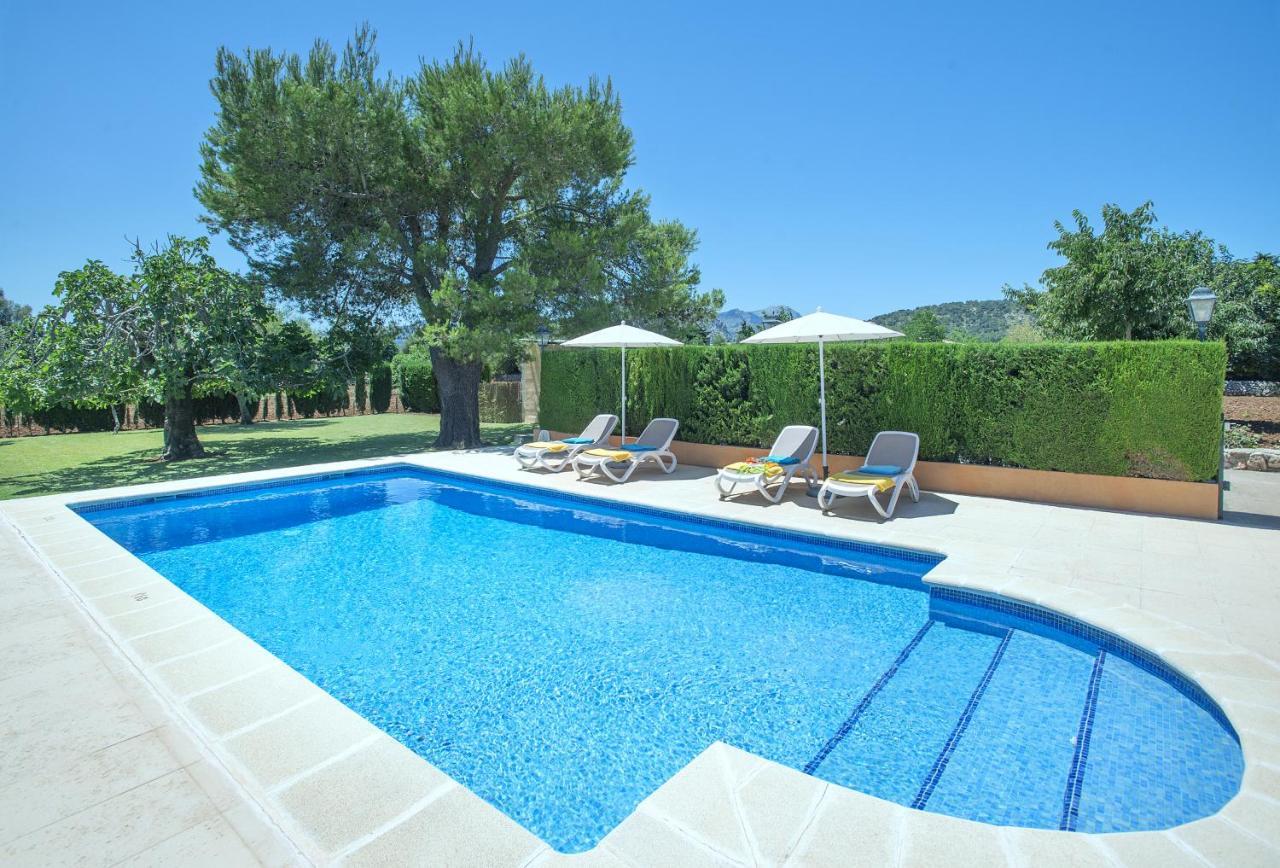 Owl Marvil - Exclusive Holidays Villa Pollenca