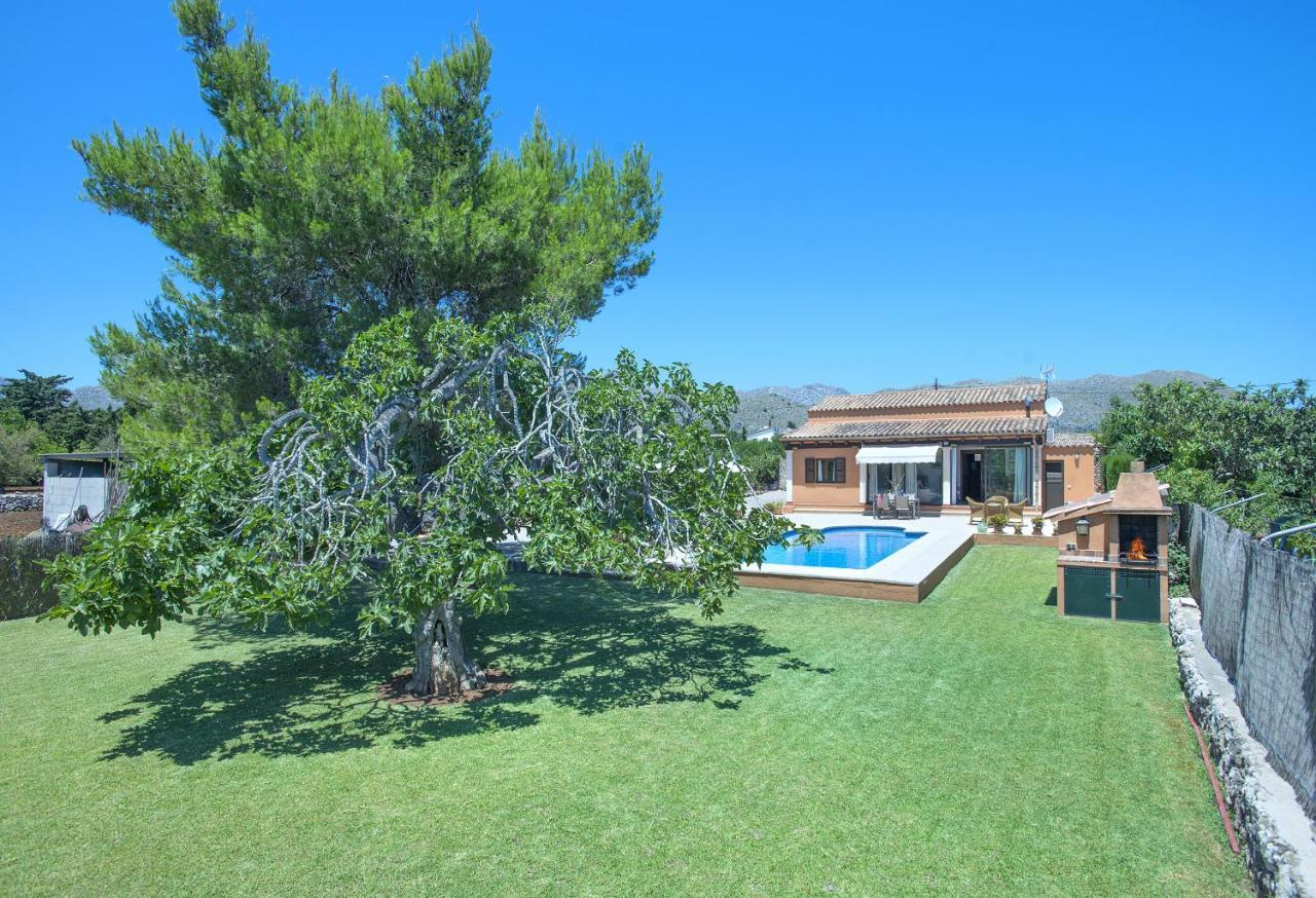 Owl Marvil - Exclusive Holidays * Pollenca