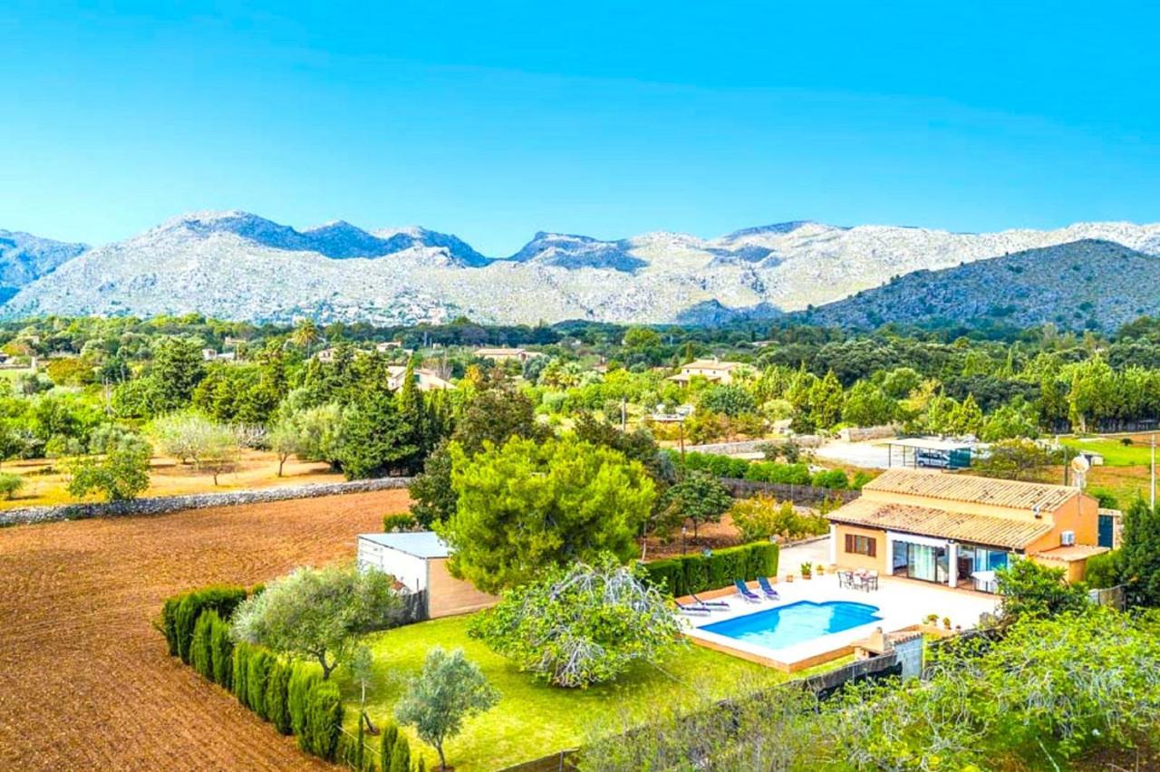 Owl Marvil - Exclusive Holidays Villa Pollenca