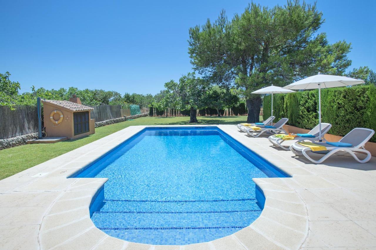 Owl Marvil - Exclusive Holidays * Pollensa
