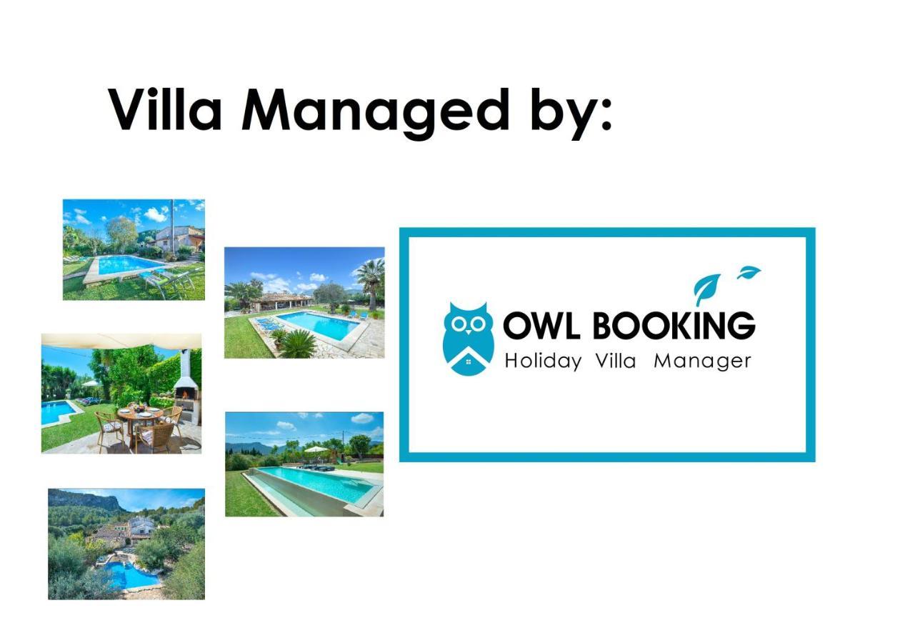 Owl Marvil - Exclusive Holidays Villa Pollença